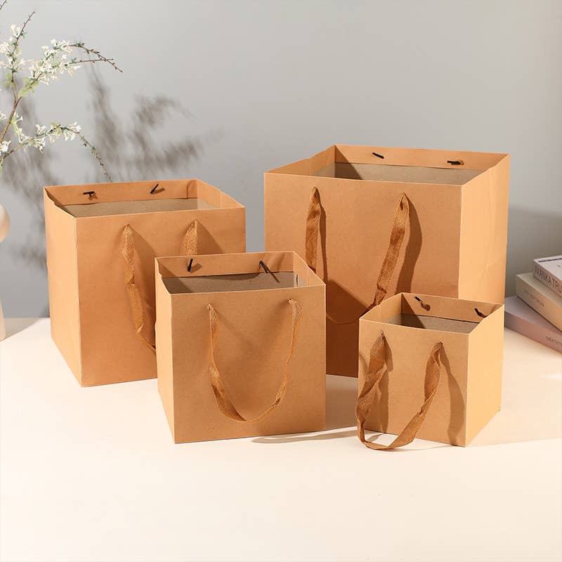Square Kraft Brown Cotton Handle Paper Gift Bag w/ tissue: S1