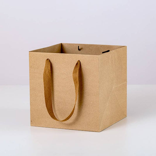Square Kraft Brown Cotton Handle Paper Gift Bag w/ tissue: S1