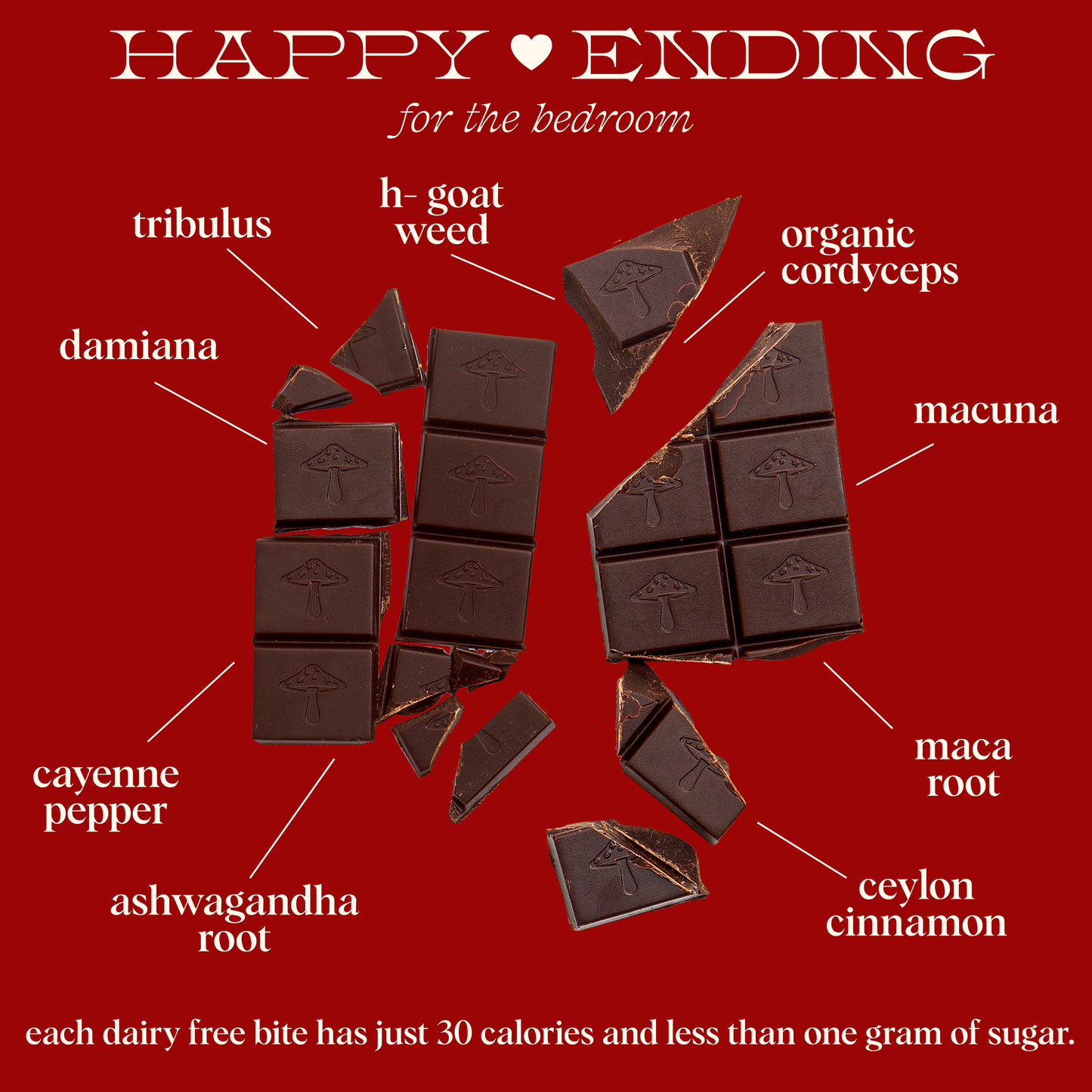 Happy Ending Singles - mushroom chocolate for wellness