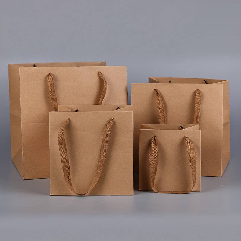 Square Kraft Brown Cotton Handle Paper Gift Bag w/ tissue: S1