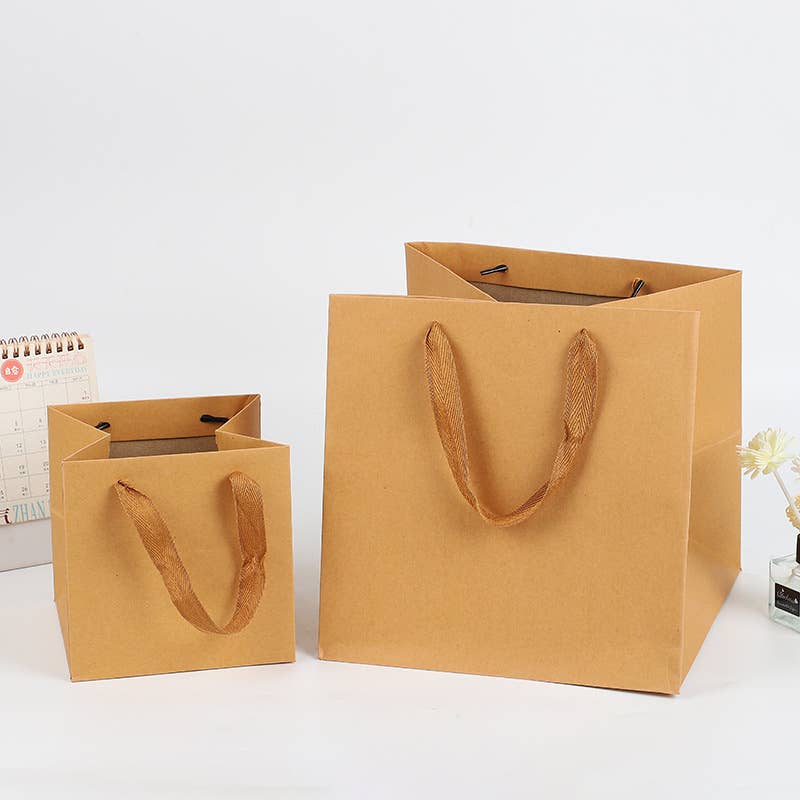 Square Kraft Brown Cotton Handle Paper Gift Bag w/ tissue: S1